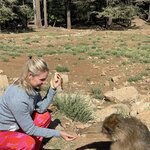 Photo taken by Monika S