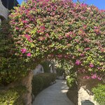 Photo taken by Andrew A