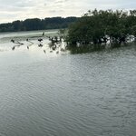 Photo taken by Margaret S