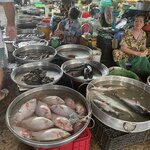 Photo taken by Lindy S