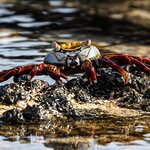 Photo taken by mindy n