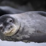 Photo taken by SANDRA V