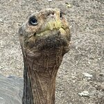 Photo taken by Heather E