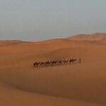 Photo taken by Cynthia F