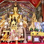 Photo taken by Stephanie T