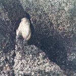 Photo taken by Milton L