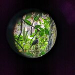 Photo taken by David G