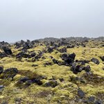 Photo taken by Tom B