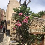 Photo taken by Shawn G