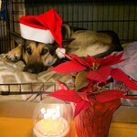 Photo taken by Debbie W