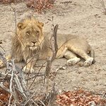 Photo taken by Nigel R