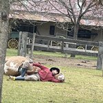 Photo taken by Graciela P