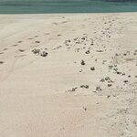 Photo taken by Rosemary S