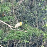 Photo taken by Cathy V