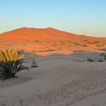 Photo taken by Mark W