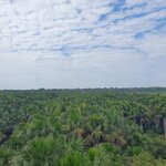 Photo taken by Bree J