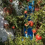 Photo taken by Leanne R