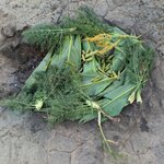 Photo taken by G'nee A