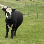 Photo taken by kevin c