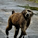 Photo taken by William R