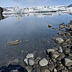 Photo taken by Sarah C