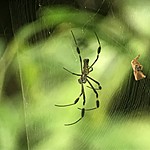 Photo taken by Michelle D