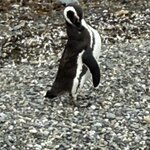 Photo taken by Sharon B