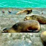 Photo taken by Katherine A