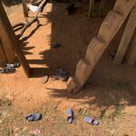 Photo taken by Luke T