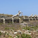 Photo taken by Michael M