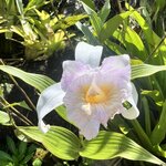 Photo taken by Cindy R