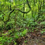 Photo taken by Darla D