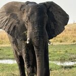 Photo taken by Paul B