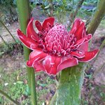 Photo taken by Robert T