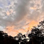 Photo taken by Ben B