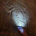 Photo taken by Kim M