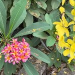 Photo taken by Thomas L