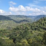 Photo taken by Rod N