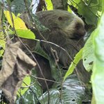 Photo taken by Morton A