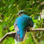 Photo taken by Darlene N