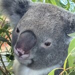 Photo taken by Lori V