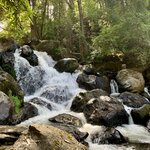 Photo taken by Barbara V