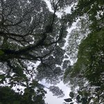 Magic in the air | Photo taken by B P