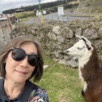 Photo taken by Sofia W