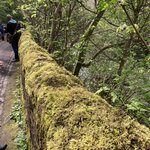 Photo taken by Frank L