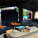 Photo taken by Solomon F