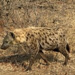 Photo taken by Heather W