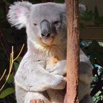 Photo taken by Maggie W