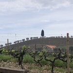 Photo taken by Paul M