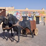 Photo taken by Karyn J